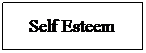 Text Box: Self Esteem
